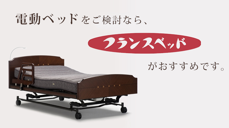フランスベッド 介護ベッド 電動ベッド